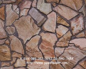 ขาย PPWALL WOOD STONE 059