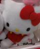 ขาย Hello Kitty -Size 4L