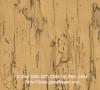 PPWALL WOOD STONE 012