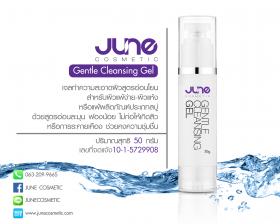 Gentle Cleansing Gel