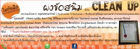 ผงขจัดสนิม และคราบต่า Clean Up จดอนุสิทธิบัตร เลขที่ 4229