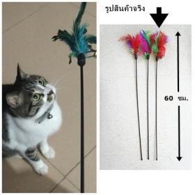 ของเล่นแมว ไม้ล่อแมวขนนก (5 ชิ้น/แพ็ค)