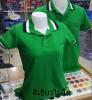 เสื้อโปโลเขียว