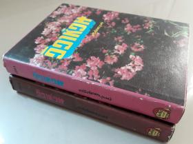 วิวาห์วน เล่ม 1, 2 (2 เล่มจบ)