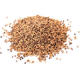 ขาย White pepperCorns 100 g packed in a zip lock bag, Phung Luang brand. WPC-SB100