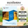 ขาย นักวิชาการศาสนาปฏิบัติการ กรมการศาสนา 2567