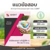 แนวข้อสอบ นักสังคมสงเคราะห์ปฏิบัติการ กทม 2567