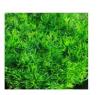 หญ้าเทียม หญ้าอ่อน สีเขียวอ่อน 100 ช่อ 25x25cm.