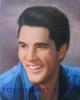 Elvis Presley New