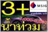2 พลัส+ 3 พลัส+ จาก MSIG ป้องกันน้ำท่วม