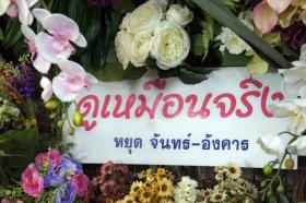 ภาพรวมร้าน/พนักงานสาวสวย