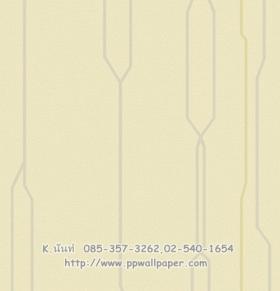 ขาย PPWALL BEYONE 017