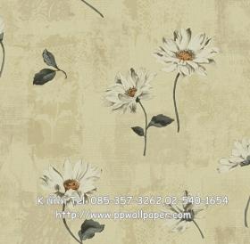 ขาย PPWALL JIN SU 027
