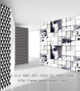 ขาย PPWALL BEYONE 009