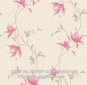 ขาย PPWALL JIN SU 054