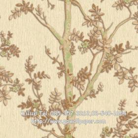ขาย PPWALL JIN SU 060