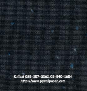 ขาย PPWALL BEYONE 077