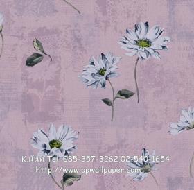 ขาย PPWALL JIN SU 029