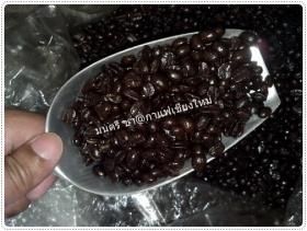 กาแฟคั่ว กาแสด กาแฟอราบิก้า 100%