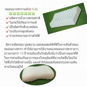 หมอนยางพาราแท้ 100%