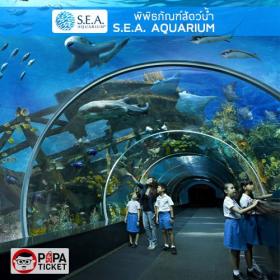 [ E-TICKET ] บัตรเข้าชมพิพิธภัณฑ์สัตว์น้ำ S.E.A. Aquarium Singapore