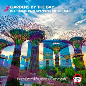 [ E-TICKET ] บัตรเข้า Gardens By The Bay Singapore (การ์เด้นบายเดอะเบย์)