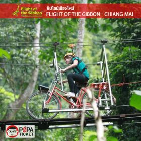 [ E-TICKET ] บัตรเข้าไฟล์ท ออฟ เดอะ กิบบอน เชียงใหม่ (Flight Of The Gibbon Chiang Mai Thailand)