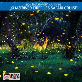 [E-TICKET ] ตั๋วล่องเรือชมหิ่งห้อยที่แม่น้ำแคลส (Klias River Fireflies Safari Cruise)