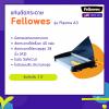 ขาย Fellowes Plasma A3