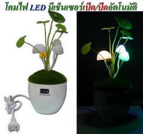 ขาย Mushrooms LED HT03