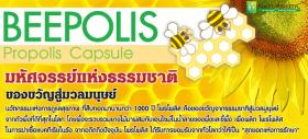 ผลิตภัณฑ์เพิ่มภูมิคุ้มกันและ ต้านอนุมูลอิสระ (บี โพรโพลิส แคปซูล, Beepolis Propolis Capsule)