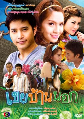 เขยบ้านนอก