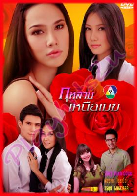 กุหลาบเหนือเมฆ
