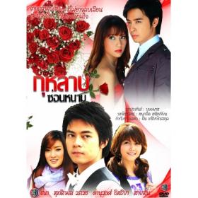 กุหลาบซ่อนหนาม