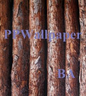 ขาย Wallpaper Woods W-01