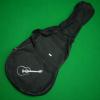 ขาย guitar bag -