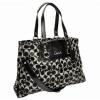 COACH ASHLEY SIGNATURE SATIN F15510 Style No. F15510