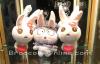 Big Rabbit -