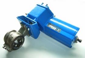 NELES Control Valve