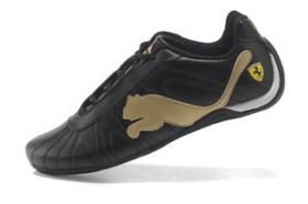 ขาย PUMA 2013
