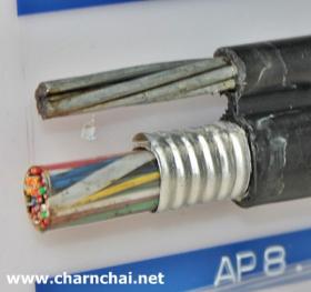 ขาย PHELPS DODGE สายโทรศัพท์ 100 คู่สาย ขนาด0.65 Sqmm ชนิดภายนอกอาคาร มีสลิง 100 Pair 22AWG phelps dodge
