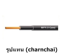 ขาย THAIYAZAKI 003363
