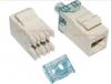 ขาย AMP 001569