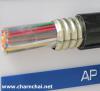 ขาย PHELPS DODGE 003579