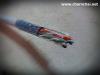 LINK 001177