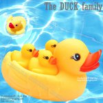 ครอบครัวเป็ดน้อยลอยน้ำ "The Duck Family"