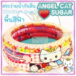 สระว่ายน้ำ Angle CAT Sugar ลายลิขสิทธิ์แท้