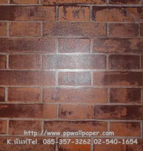 ขาย PPWALL ZORA 001