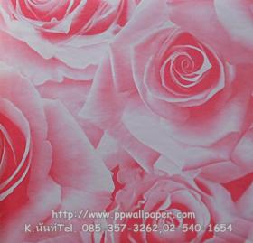 ขาย PPWALL ZORA 051
