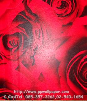 ขาย PPWALL ZORA 052
